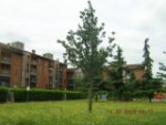 Dettagli